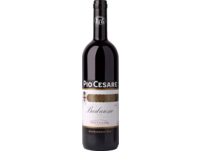 Pio Cesare Barbaresco 2020