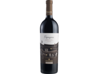 Fontanafredda Papagena Barbera d'Alba Superiore 2021