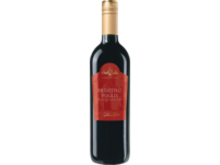 Gabbia d'Oro Primitivo 2023