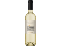 Tollo Pecorino 2023
