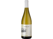 Borgaio Vermentino 2023