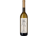 Luminara Gavi 2023