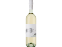 Angelo Pinot Grigio 2023