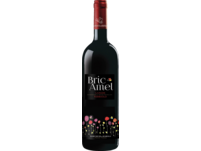 Bric Amel Langhe Nebbiolo 2023