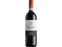Ziggurat Montefalco Rosso 2022