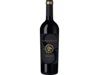 Leolucaia S Chianti Riserva 2021