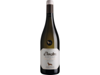 Eugenio Collavini Sauvignon Blanc 2023