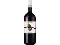 Sassianello Montepulciano 2021