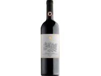 San Leonino Chianti Classico 2021