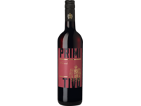 Cinolo Primitivo 2023