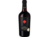 Zolla Primitivo-Merlot 2023