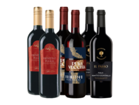 Primitivo Weinpaket