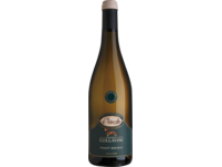 Collavini Villa Canlungo Pinot Grigio 2023
