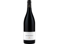 Bramasole Cortona Syrah 2021