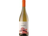 Falanghina Raiano 2023