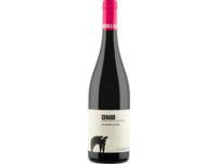 San Salvatore Ceraso Aglianico 2022