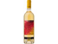 Colore Bianco 2021