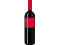 Piane del Levante Primitivo 2023