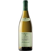 Der Milmanda Chardonnay 2021 von Familia Torres entfaltet ein bemerkenswertes Bouquet aus Ananas und Zitrusfrüchten