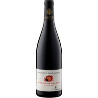 Im Beaujolais-Gebiet