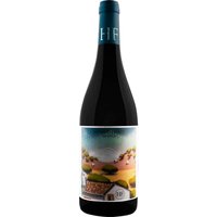 Der HF Aldeia Tinto 2021 von Howard's Folly vereint das Beste aus den Rebsorten Mischsatz