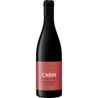 Der CARM Touriga Nacional aus dem Jahr 2020 überzeugt mit einem intensiven und komplexen Bouquet. Aromen nach aromatischen Backpflaumen