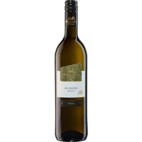Der 2023er Oberkircher Ruländer Kabinett präsentiert sich in strahlendem Goldgelb. Sein Bukett enthüllt intensive Aromen von Williams-Birne