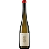 Der Amphora Riesling 2022 von Domäne Wachau erstrahlt in einem zarten Goldgelb mit leichtem Bronzeschimmer. Unfiltriert beeindruckt er mit einem intensiv durchdringenden Duft