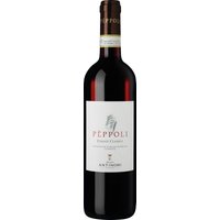 Der Pèppoli 2023 von Tenuta Pèppoli präsentiert sich in einem leuchtenden Rubinrot mit violett schimmernden Reflexen. In der Nase dominieren intensive Fruchtaromen von saftigen Kirschen und roten Johannisbeeren