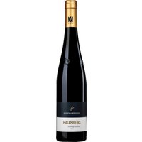 Der Schäfer-Fröhlich Monzinger Halenberg Riesling GG 2022 präsentiert sich ausgesprochen facettenreich. Schon der erste Eindruck offenbart eine feine