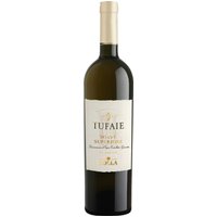 In den sanften Hügeln der Soave-Region gewachsen