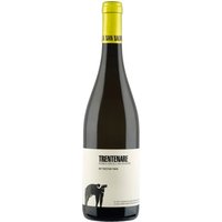 Der San Salvatore Trentenare Fiano 2023 aus Kampanien