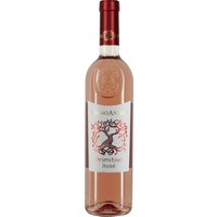 Der Masso Antico Primitivo Rosato von Cantine di Ora zeigt sich in einem lebhaften Rosaton. Sein Bouquet vereint Aromen von reifen Früchten wie Feigen und Pflaumen. Am Gaumen entfaltet sich eine frische und spritzige Textur mit klaren Noten von Erdbeeren und schwarzer Kirsche. Die Trauben wachsen nach dem traditionellen "Alberello"-System