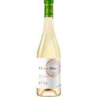 Der Luis A. Cetto Sauvignon Blanc aus dem Jahrgang 2022 besticht durch seine fruchtigen Aromen von Zitrus- und Baumfrüchten