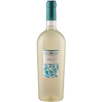 Tenuta Ulisse bringt mit dem Ulisse Bianco Premium einen spannenden Weißwein aus den Abruzzen hervor. Der Jahrgang 2024 zeigt sich in einem schönen Strohgelb mit grünen Reflexen. Markant sind die intensiven Aromen von Pfirsich