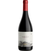 Aus der südlichsten Weinanbauregion der Welt