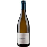 Der Weedenborn Weißburgunder 2023 aus Rheinhessen besticht durch sein helles Strohgelb mit grünen Reflexen. In der Nase trifft saftiger Cox Orange-Apfel auf exotische Aromen von Ananas und Mango