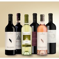 Torrevento Weinpaket Torrevento Classico