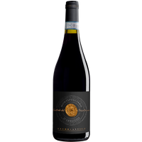 Feudo Antico Custodi del Territorio Montepulciano d`Abruzzo DOP 2020