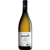 Feudo Antico Pecorino Tullum Biologico 2023