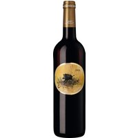 Die Appellation Buzet im Südwesten Frankreichs ist nicht nur Teil einer der ältesten Weinbauregionen des Landes