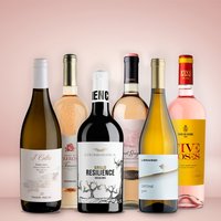 Vinolisa Selezione Frühlings-Weinpaket: Primavera Selezione