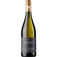 Dieser reinsortige Muskateller ist ein VDP Gutswein mit Bio-Zertifikat vom Spitzen-Weingut Rings in der Nordpfalz. Von Weinbergen bei Freinsheim stammend