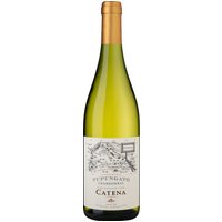 Dieser Chardonnay von Catena Zapata stammt aus dem Anbaugebiet Tupungato in Mendoza