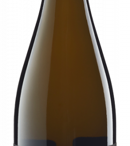 Muss es immer ein Champagner sein? Natürlich nicht! Dieser Franciacorta Brut (Bio) von Santa Lucia beweist warum. Ein italienischer Schaumwein der Extraklasse.