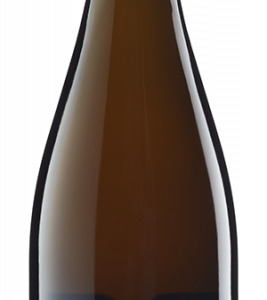Bravissimo! Dieser exzellente Franciacorta-Rosé Brut (Bio) von Vorzeigewinzer Santa Lucia balanciert höchst gekonnt zwischen vollmundiger Eleganz und fruchtbetonter Frische.