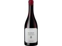 Sgarzon Teroldego 2021