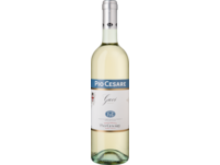 Pio Cesare Gavi 2024