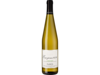 Eruzione 1614 Carricante 2021