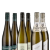 Probierpaket Grüner Veltliner